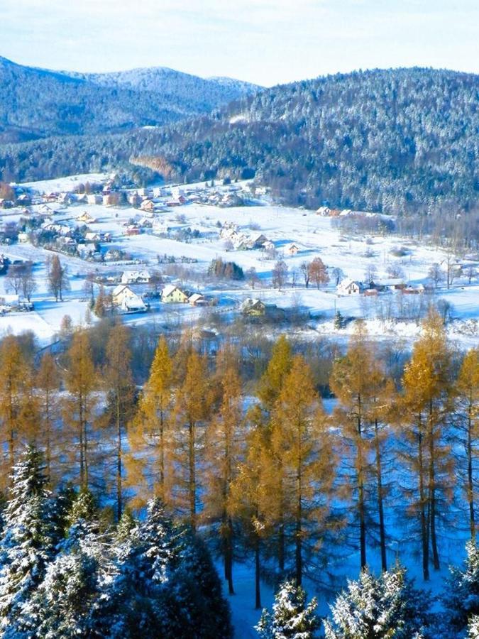 Osrodek Uzdrowiskowy Beskid Hotel วิโซวา-ซโตรจ ภายนอก รูปภาพ